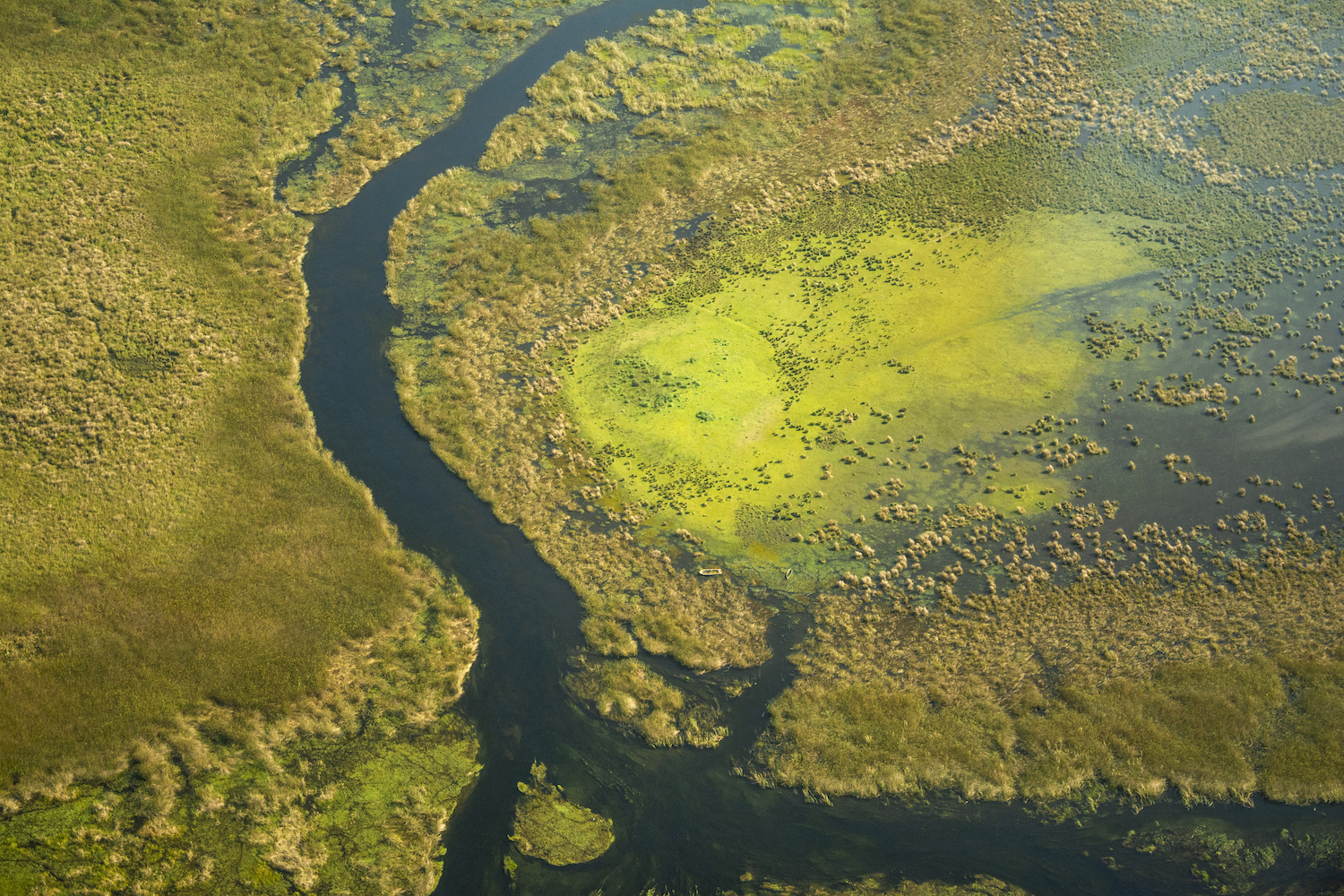 Ibera Wetlands Conservation Travel - aerial shot journeys with purpose