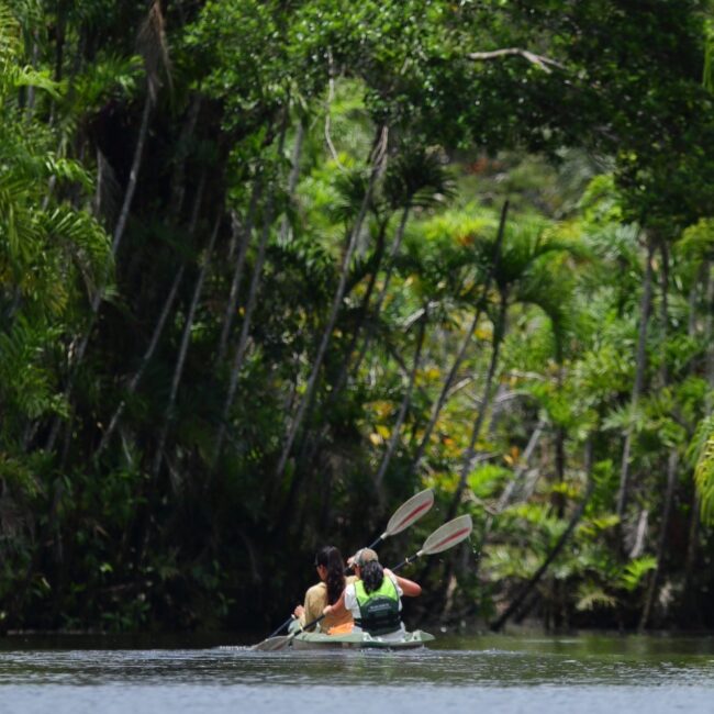 Kayaking in the Amazon on transformative journey