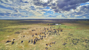 Aerial view of the American Prairie