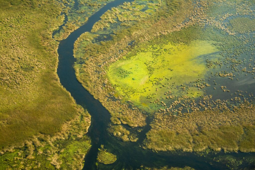 Rewilding the Iberá Wetlands conservation travel