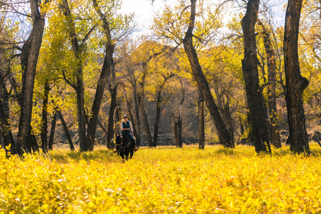 Woman horseback riding in the american prairie on a Sustainable travel adventure