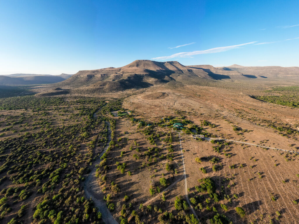 Drone image of spekboom in South Africa