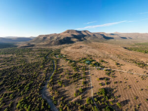 Drone image of spekboom in South Africa