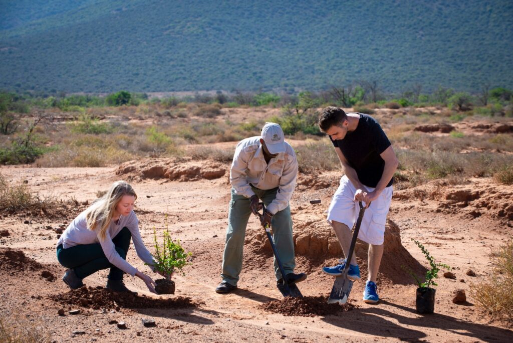 Samara Karoo Reserve, Africa, Journeys with purpose, spekboom rewilding