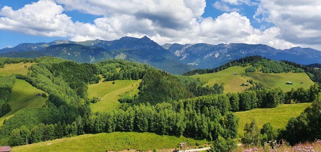 romania field report landscape