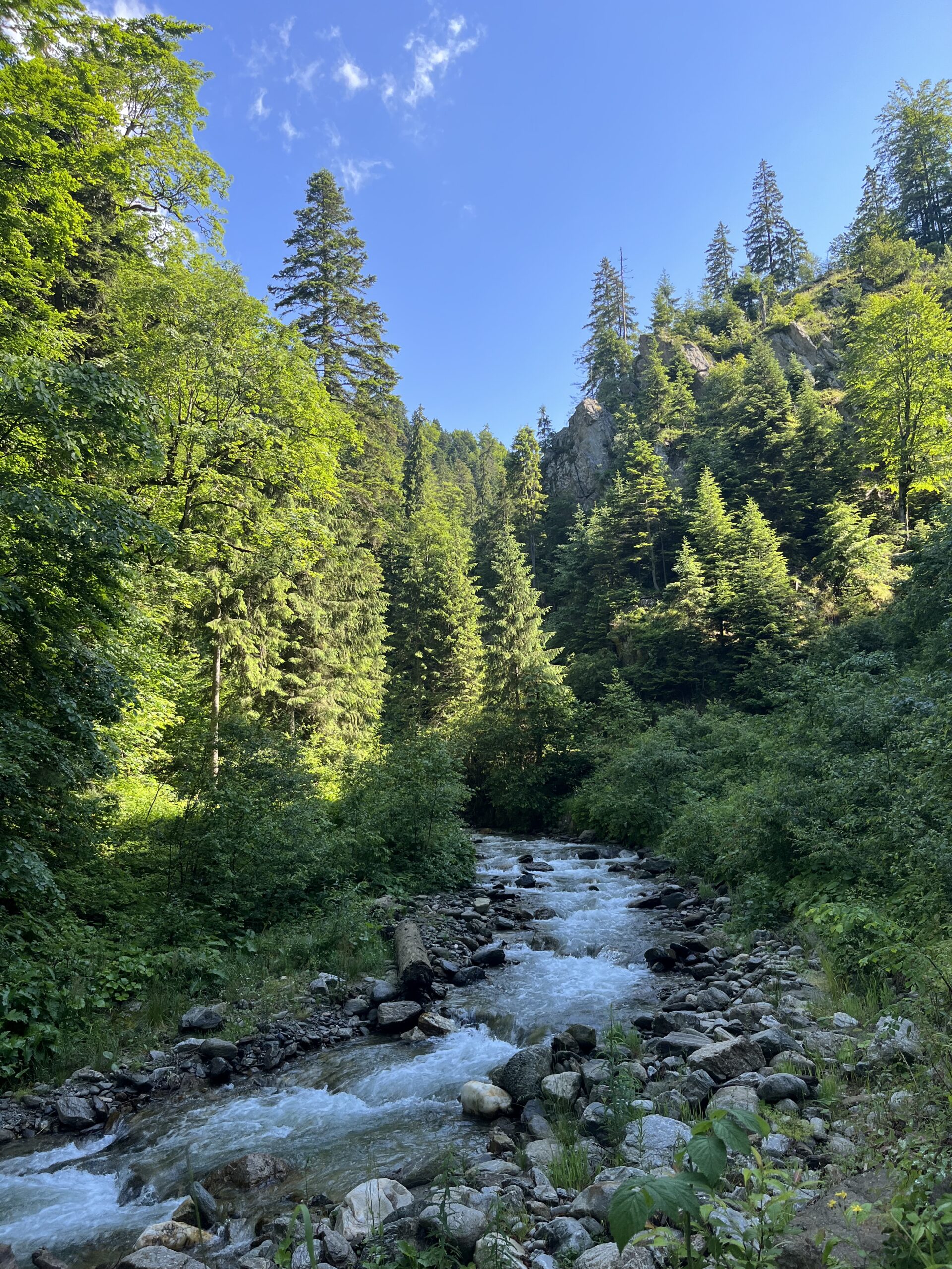 Exploring Europe’s Yellowstone, Romania - June 2023 - Journeys With Purpose