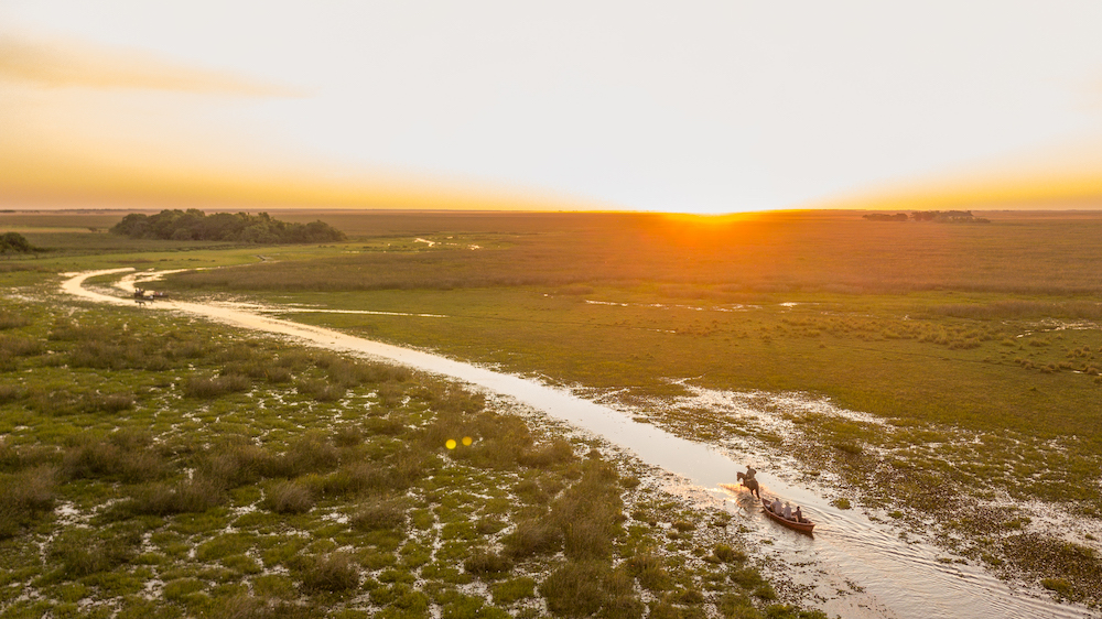 Impact travel to ibera argentina wetlands canoe wild horses