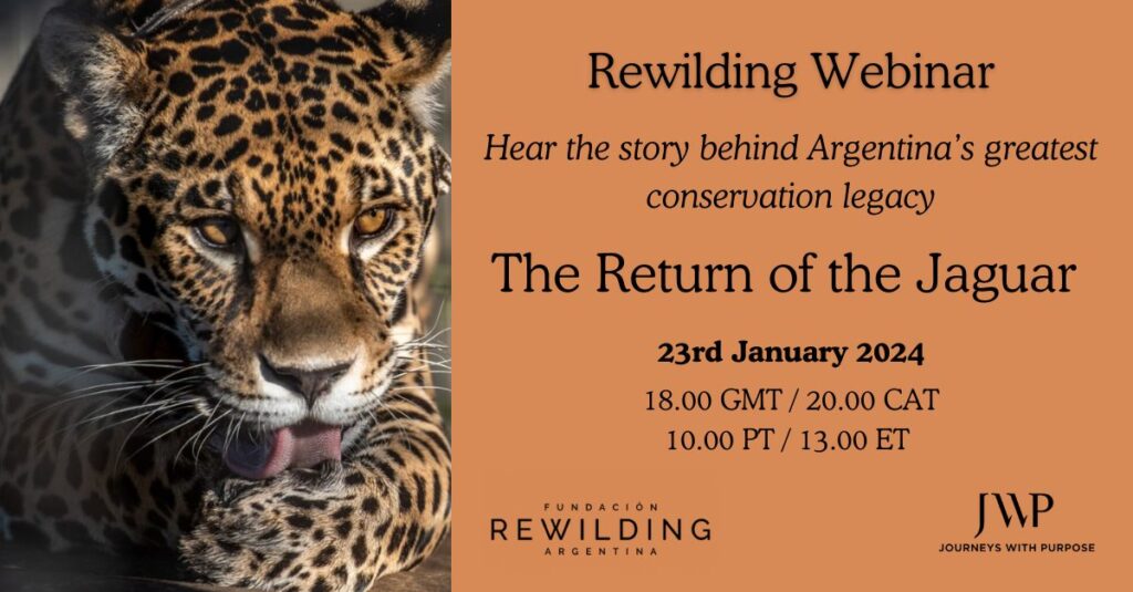 rewilding argentina webinar