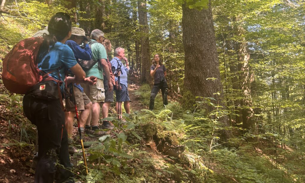 A group visit a virgin forest with conservationist Barbara Promberger