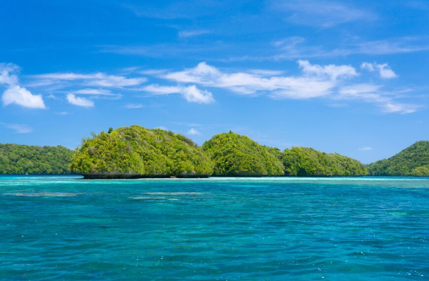 Restoring Island-Ocean Ecosystems in Palau