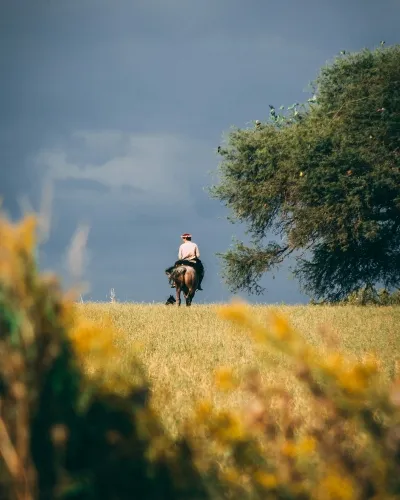 Man riding horseback on an Argentina adventure