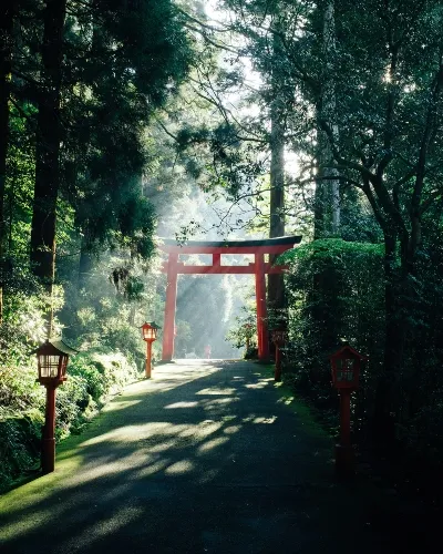 Japan gardens