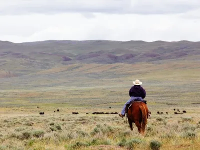 Montana horseback