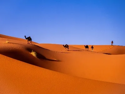 Morocco desert