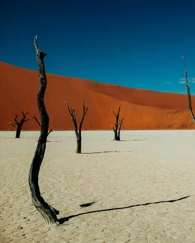 Namibia desert