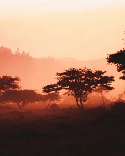 Rwanda safari