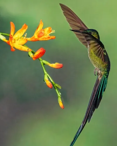 Bird watching on the Galapagos Islands