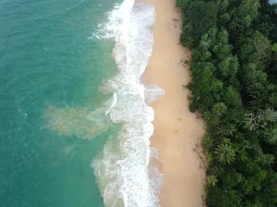 Birds eye view of the beach in Panama
