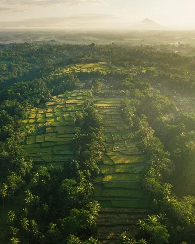Indonesia rolling hills of green landscapes and flourishing trees