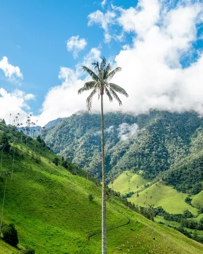 Rolling hills of Colombia
