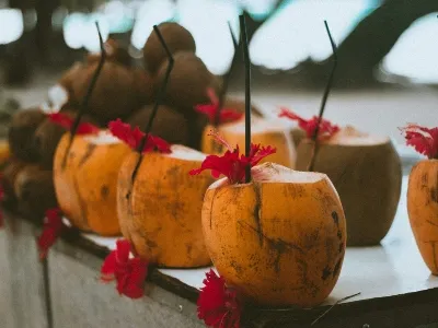 Seychelles fruits at the beach