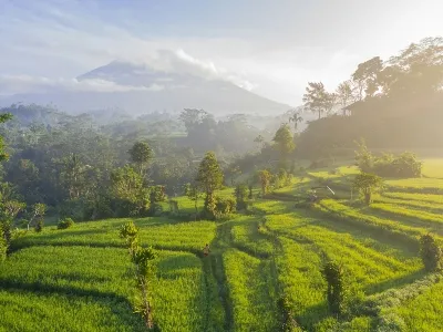 The farmlands in Indonesia by the mountain
