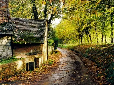 tour the farms in the UK for an authentic experience