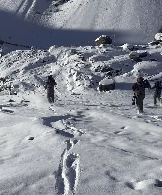 Jouney with Purpose team in the wilderness