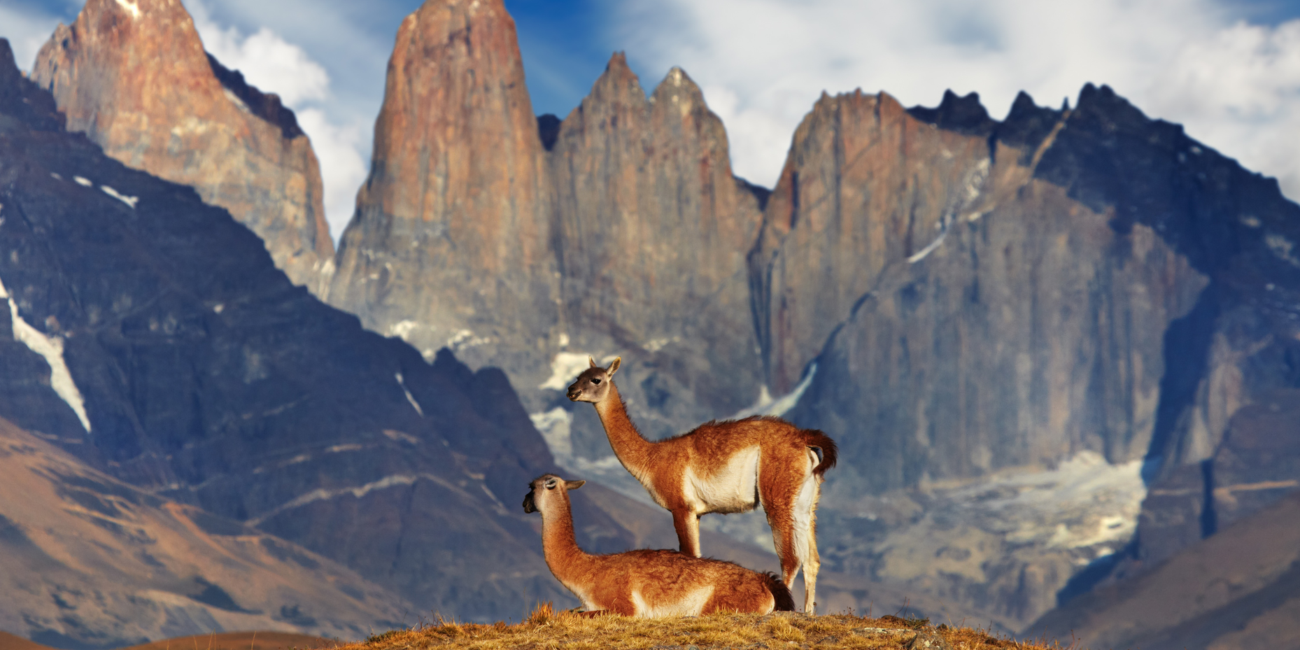 Torres del Paine, a national park in Latin America