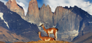 Torres del Paine, a national park in Latin America