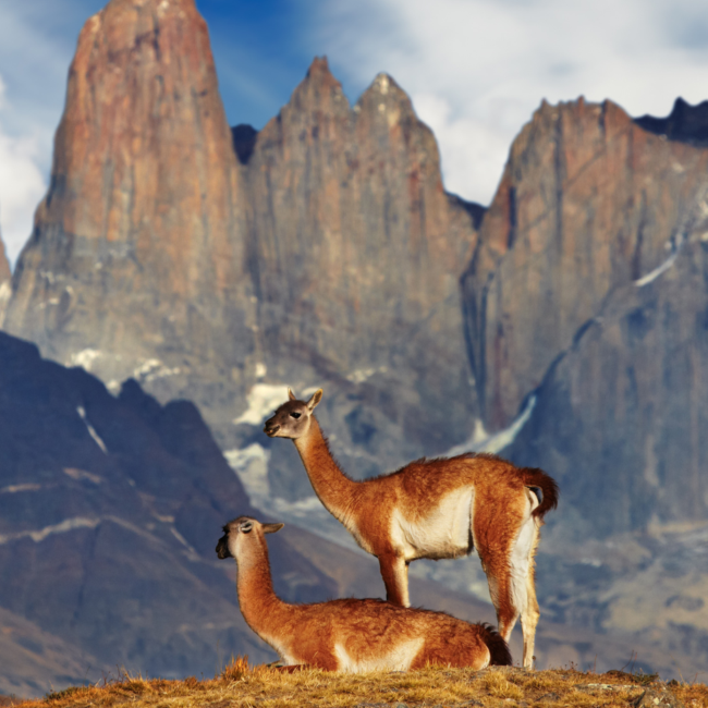 Torres del Paine, a national park in Latin America
