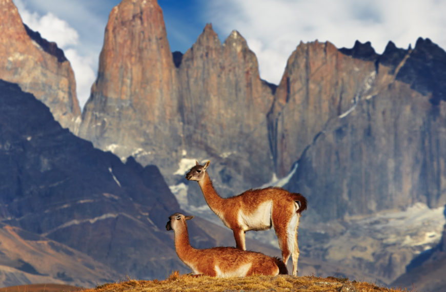 Torres del Paine, a national park in Latin America