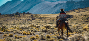Man riding a horse through the wilderness as part of conservation and sustainability in Argentina