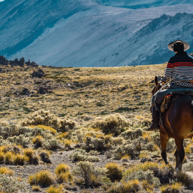 Man riding a horse through the wilderness as part of conservation and sustainability in Argentina