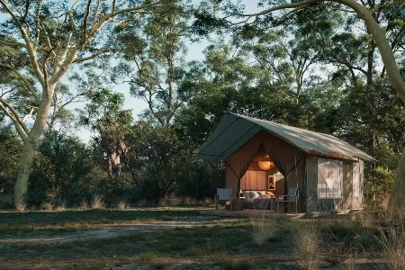Chicari Camp - Tent exterior with palm trees