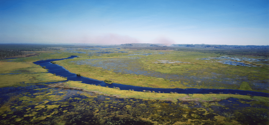 Overview of the Pantanal Wetlands in Brazil