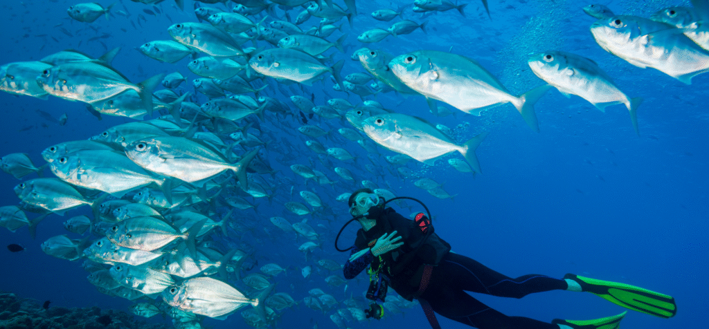 Man scuba diving in Palau