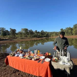 Leopard camp in india
