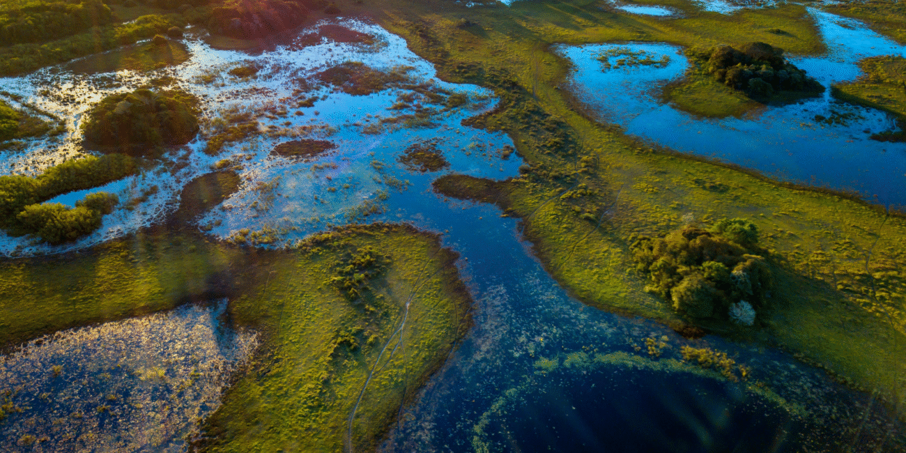 Overview of the Pantanal Wetlands in Brazil