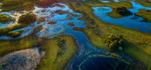 Overview of the Pantanal Wetlands in Brazil