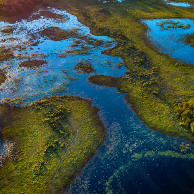 Overview of the Pantanal Wetlands in Brazil
