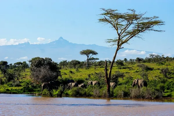 what to expect on your safari