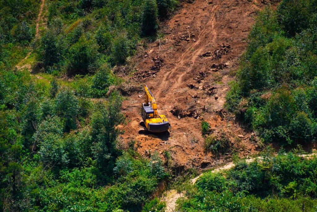 Deforestation in Asia is one of the main threats to endangered species