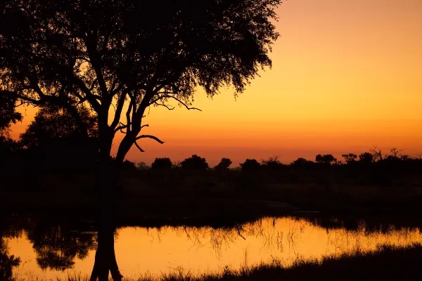 Exploring the beauty of sunsets