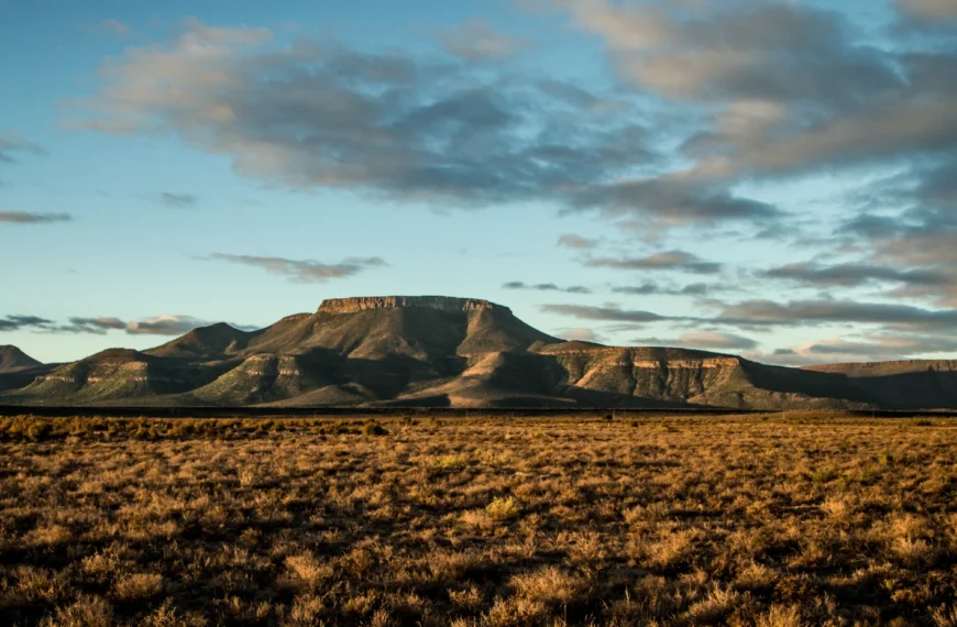 Karoo in South Africa landscape, with a mountain rising in the background