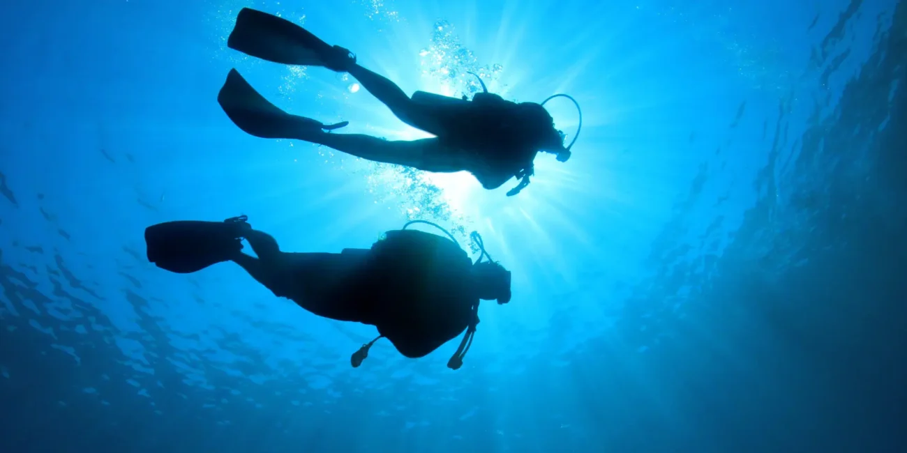 Two people experiencing the best diving in Africa