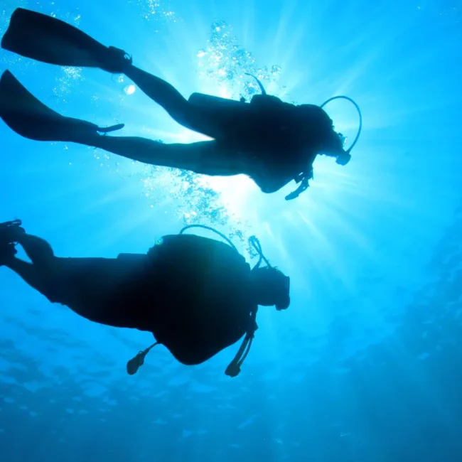 Two people experiencing the best diving in Africa