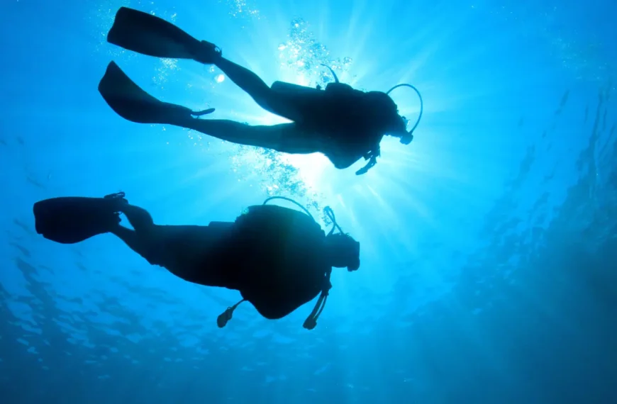 Two people experiencing the best diving in Africa