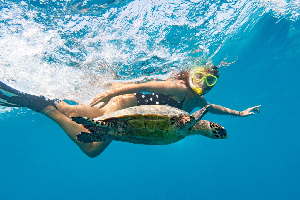 Woman swimming with sea turtle to help conservation in Seychelles
