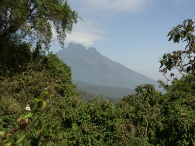 Virunga mountains